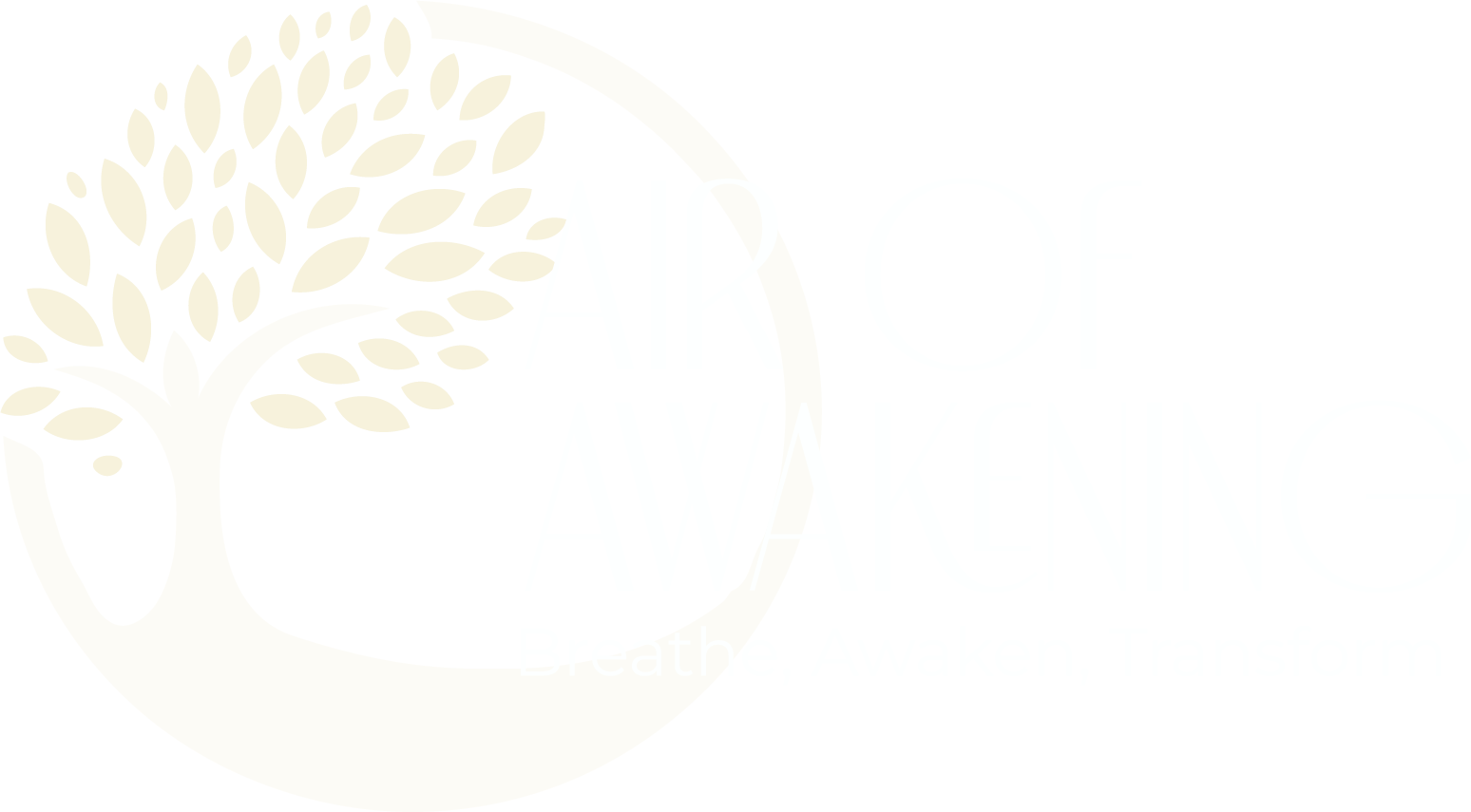 airofawakening.com